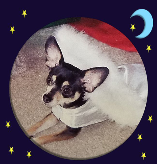 Lilly Pippie-Marie